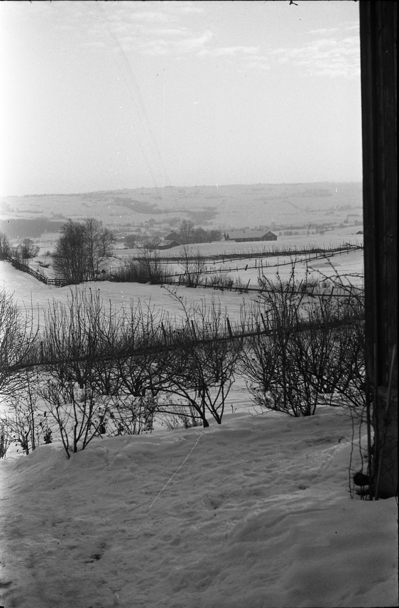 Vinterlandskap sett fra fotografens eiendom Odberg på Kraby, Østre Toten, februar 1947.