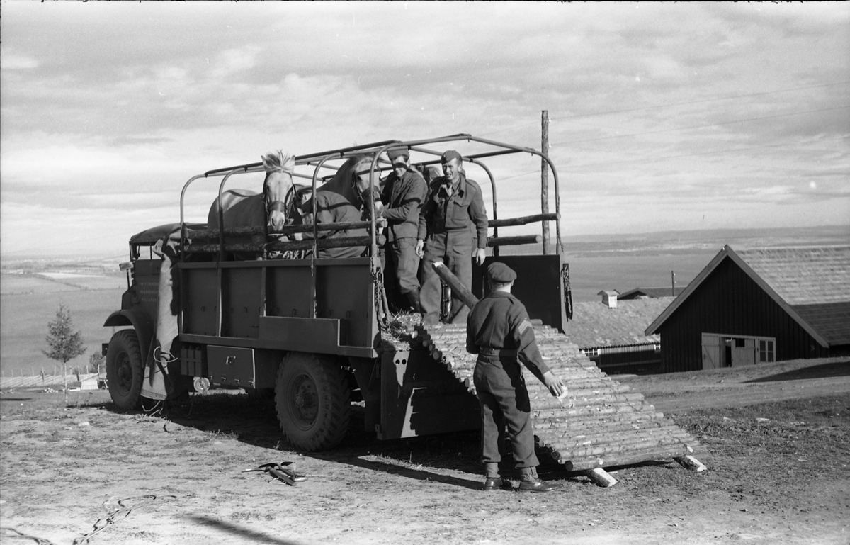 Opplasting av hester på lastebil ved Hærens Hesteskole på Starum september 1948. Serie på 24 bilder. Lengst til venstre på bilde nr. 1 står daværende sersjant Ottar Markeng.
Bildene nr. 1-4 og 17-24 eer trolig fra Hoffsvangen, de øvrige fra Starum Leir.