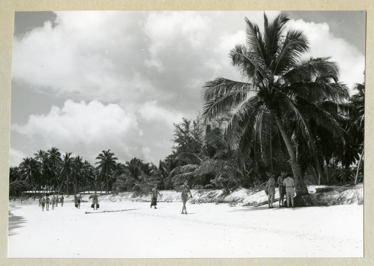 Bilden föreställer människor som går längs med en sandstrand. Stranden kantas av växtlighet i form av palmer. Bilden är tagen under minfartyget Älvsnabbens långresa 1966-1967.
