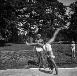 "10 (110)" (ste181a)