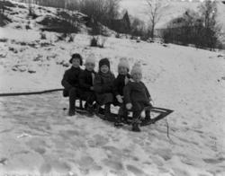 (Eske merket "Barna Namsos").Villaen «Alfheim» i bakgrunnen 