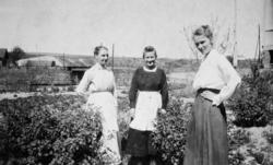 "Oslo 1919 (Lørenskog)" Fra Fru Williams fotoalbum. Eier av 