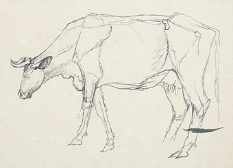 Bilden föreställer en ko, skissad, ofärdig.
Osignerad, men troligen av en Kylberg.