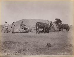 Battage du Blé [Fotografi]