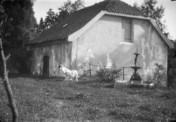 Kvinne i hagen til Astrupgården.