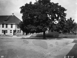 Nytorvet café - tre 1/8