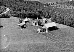 Gardsbruk. Barndomshjemmet til Sigrid Husom