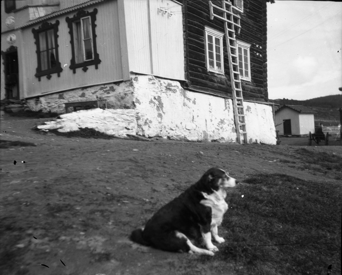 Rikard Berges fotoarkiv. Landskapsbilder og portretter Bilde nr. 10.

Fotografier tatt av Rikard Berge. 642 nummer. Samlingen består av negativer bladfilm. Motivene er ført inn i egen protokoll av Berge. Protokollen har tittel "Bilæt-emne"