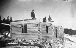 Husbygging. Andreas og Magne Noreng han i midten ukjent. Nyt