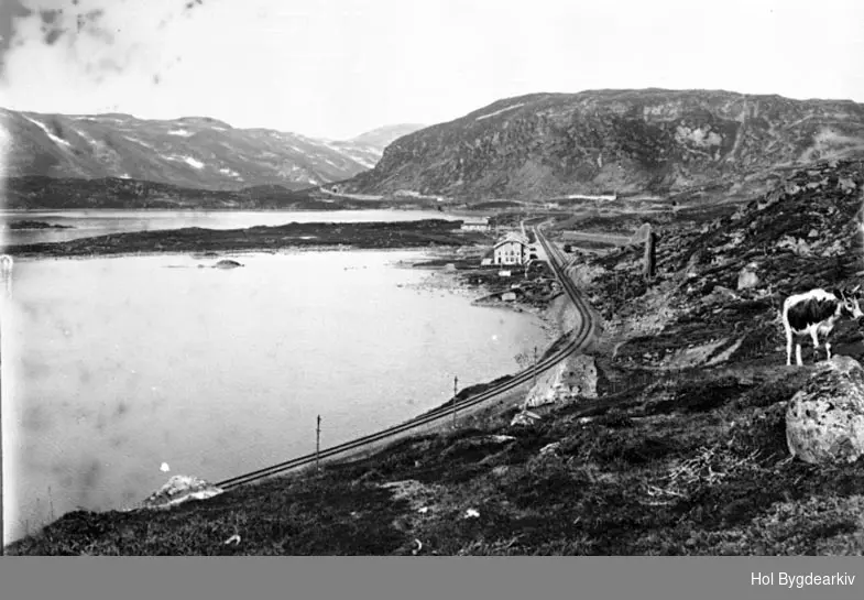 Tettstad, Haugastøl jernbanestasjon, Bergensbanen, Ustevatn, - Hol ...