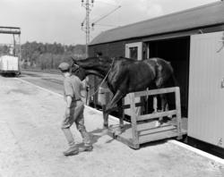 Ny hestevogn litra Gh4 nr. 1250, ombygget fra en tysk verkst