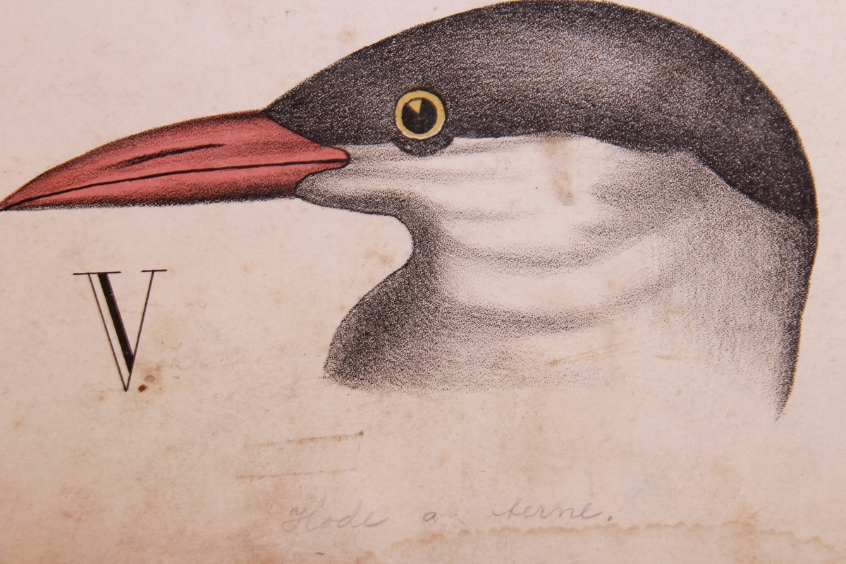 Detaljer av ulike ender.