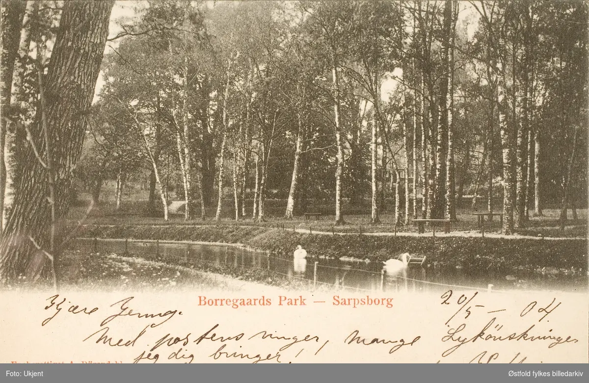 Postkort, parti fra Borregårdsparken i Sarpsborg. Datert mai 1904 av postkortsender.