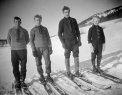 Skihoppere. Fra venstre Trygve Solbakken, Ole P. Guttu, Hans