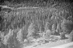 Ukjent bruk eller hytte, Øyer, blandingsskog med spredte bru