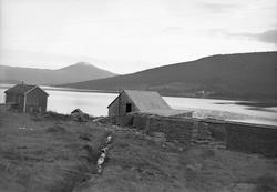 Parti fra Meisingset på Nordmøre