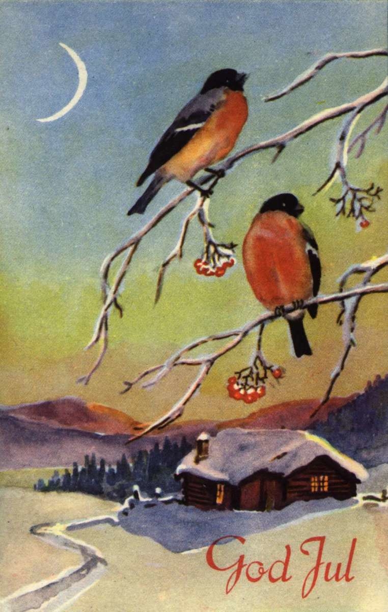 Julekort. Vintermotiv. To dompapper sitter i et tre. I bakgrunnen hus, skog og fjell.