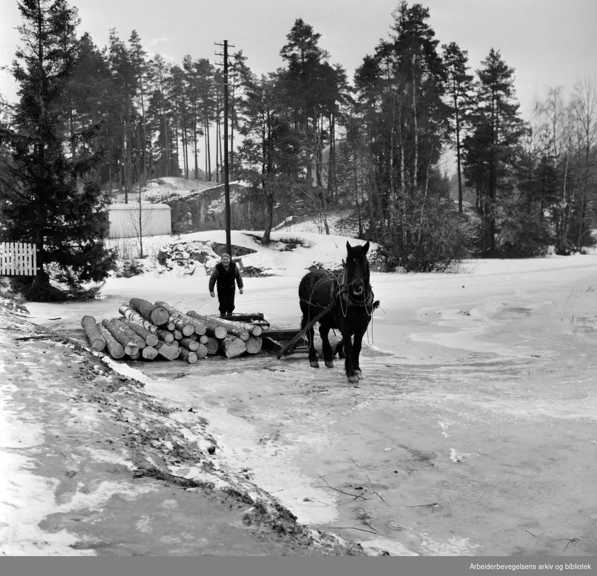 Sværsvann. Tømerkjøring på isen. Februar 1964