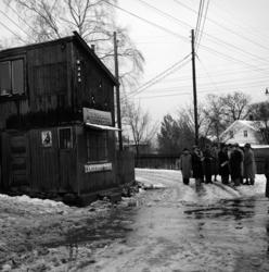 Tåsen: Tåsenveien 12. Gamle rønner. Oktober 1950