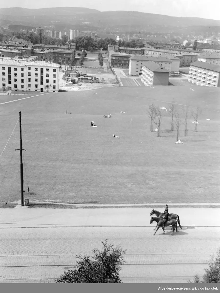 Torshovdalen park sett fra Sinsen. Juni 1953