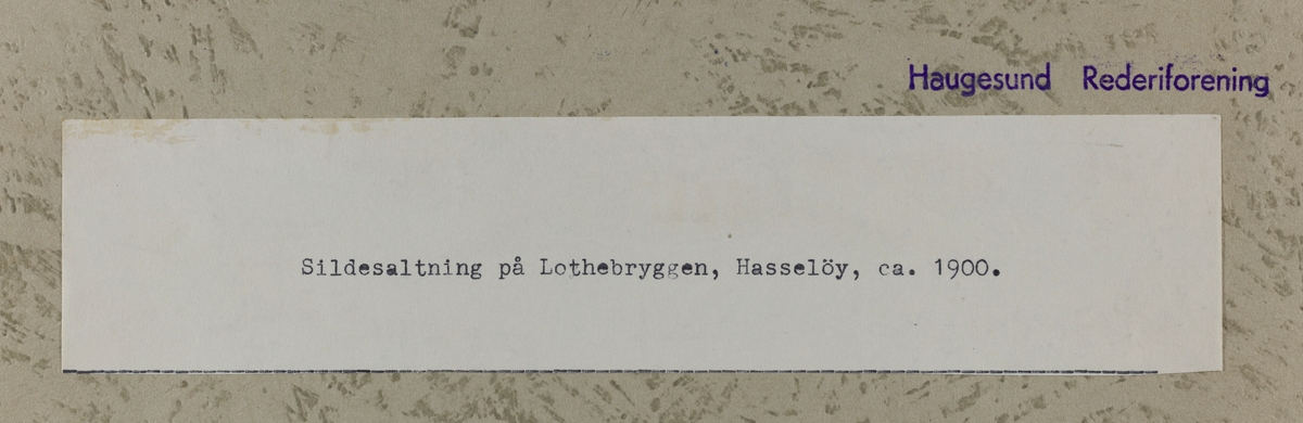 IX Hasseløen - Sildesaltning på Lothebryggen, Hasseløy, ca.1900