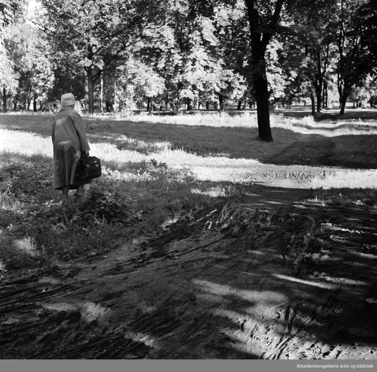 Sofienberg kirkegårdspark. September 1962