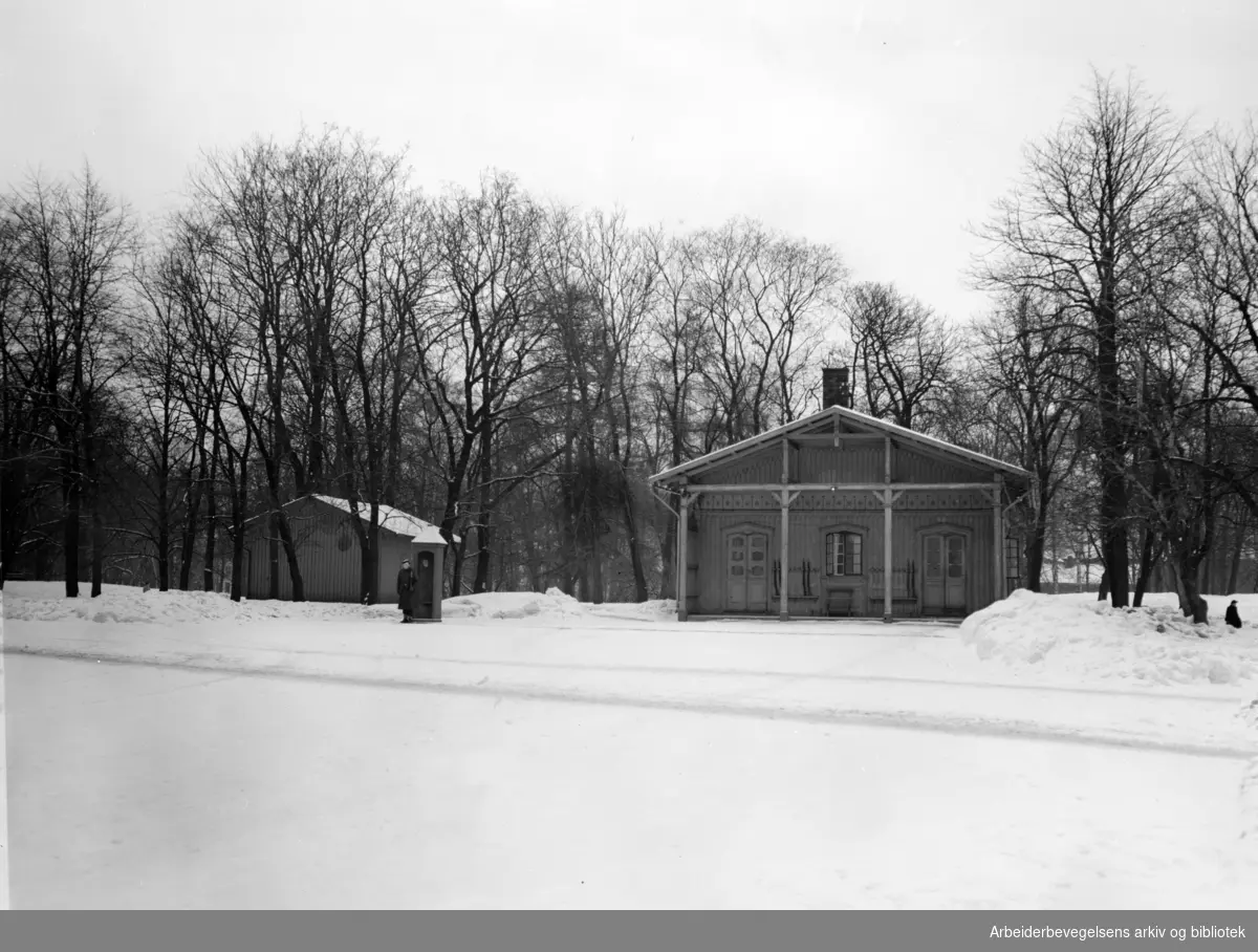 Slottsparken. Januar 1950
