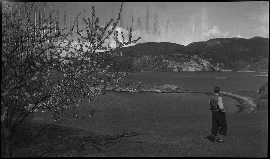 Harald Bergsaker og fotografen besøker flere små gårdsbruk og bygder i Strand kommune. Det er bilder fra landskap, bebyggelse, barn, sauer og lam. Frukttrærne står i full blomst.
