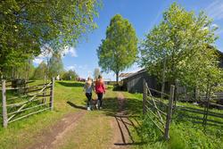 Skoleelever på Oppistun Børli, arrangement i regi av Kongsvi
