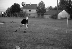 ."Molde FK, MFK, Molde fotballklubb"