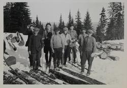 Fra Randsfjordkonflikten i 1933