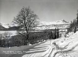Parti ved Øyang turistheim, Øystre Slidre.