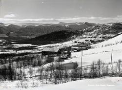Parti ved Øyangen turistheim, Beito.