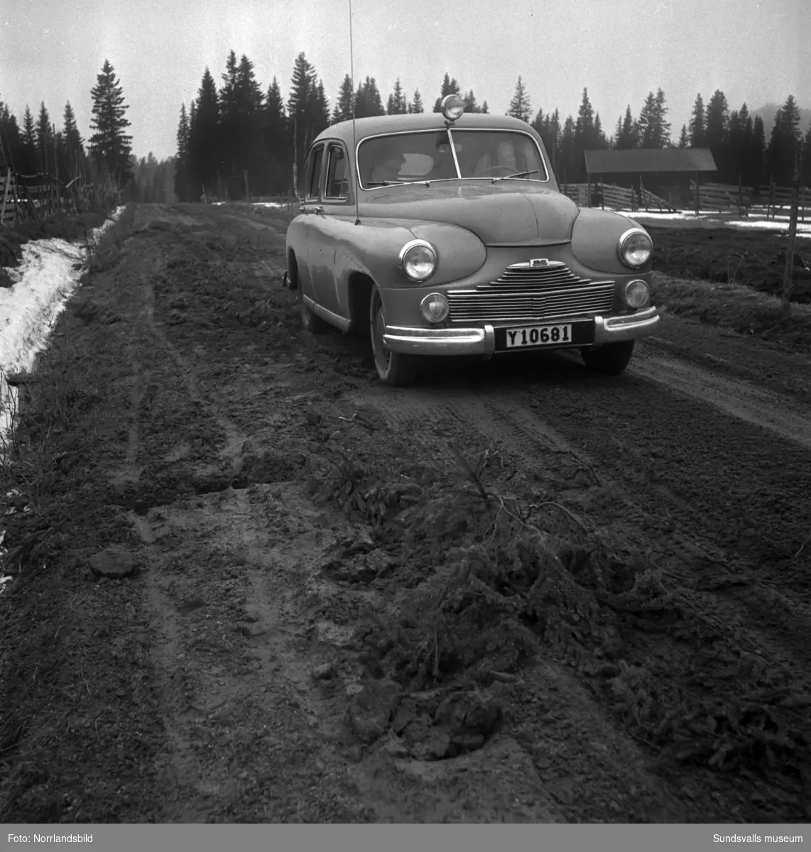 Besvärligt och lerigt väglag våren 1950 för bilförare och cyklister på vägen mellan Torpshammar och Hassela.