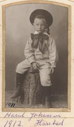 Studioportrett av Harald Johansen.