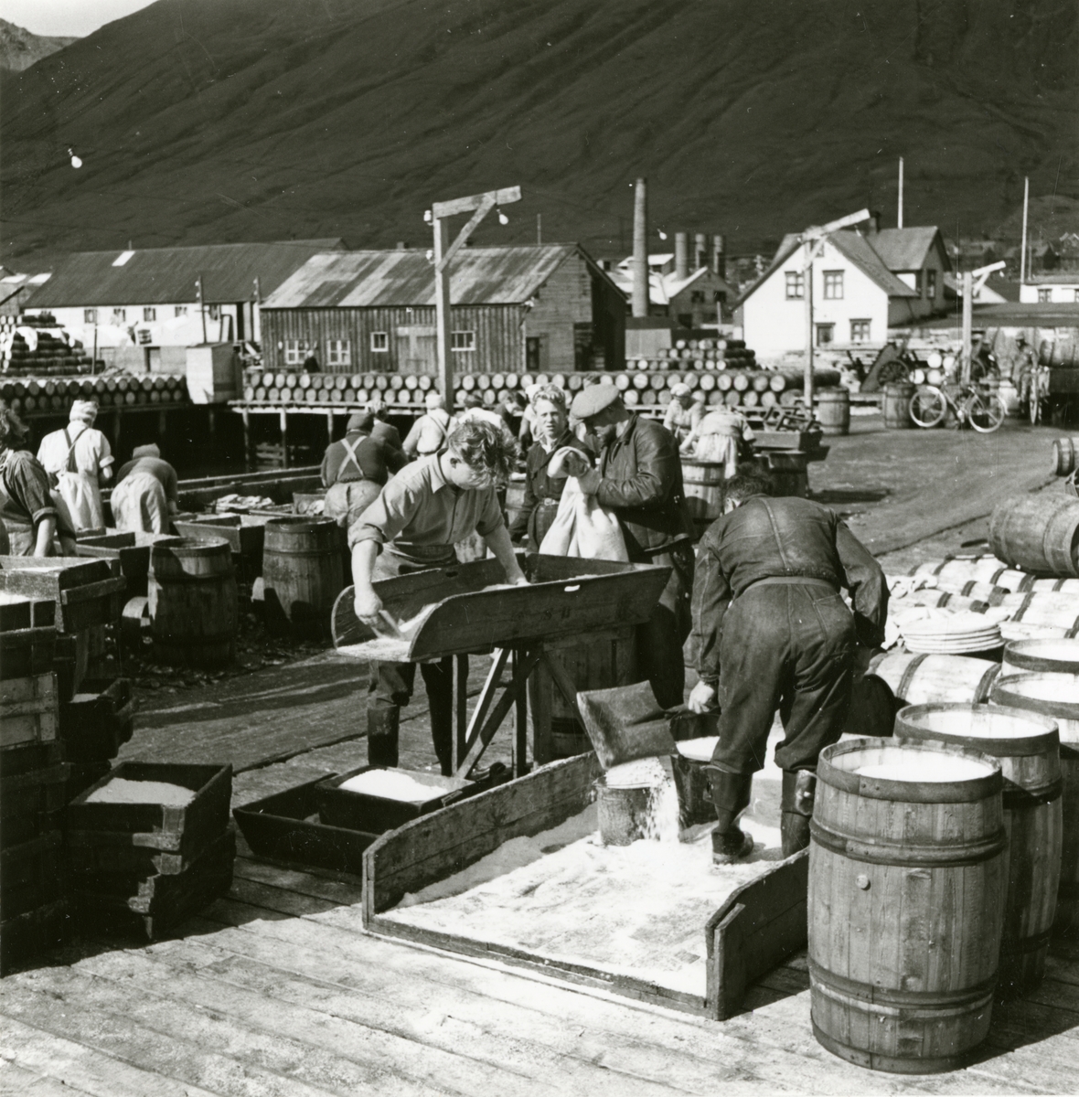 Blandning av salt för saltning av sill i isländsk hamn, 1948.