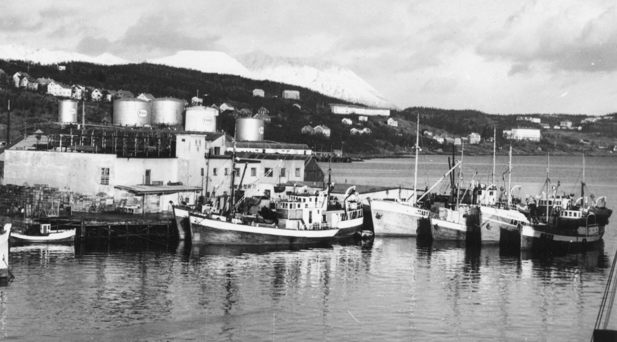 Fiskebåter ved Kr. Holsts anlegg i Harstadhamn. Trondenes og oljetankene  i Samasjøen i bakgrunnen.