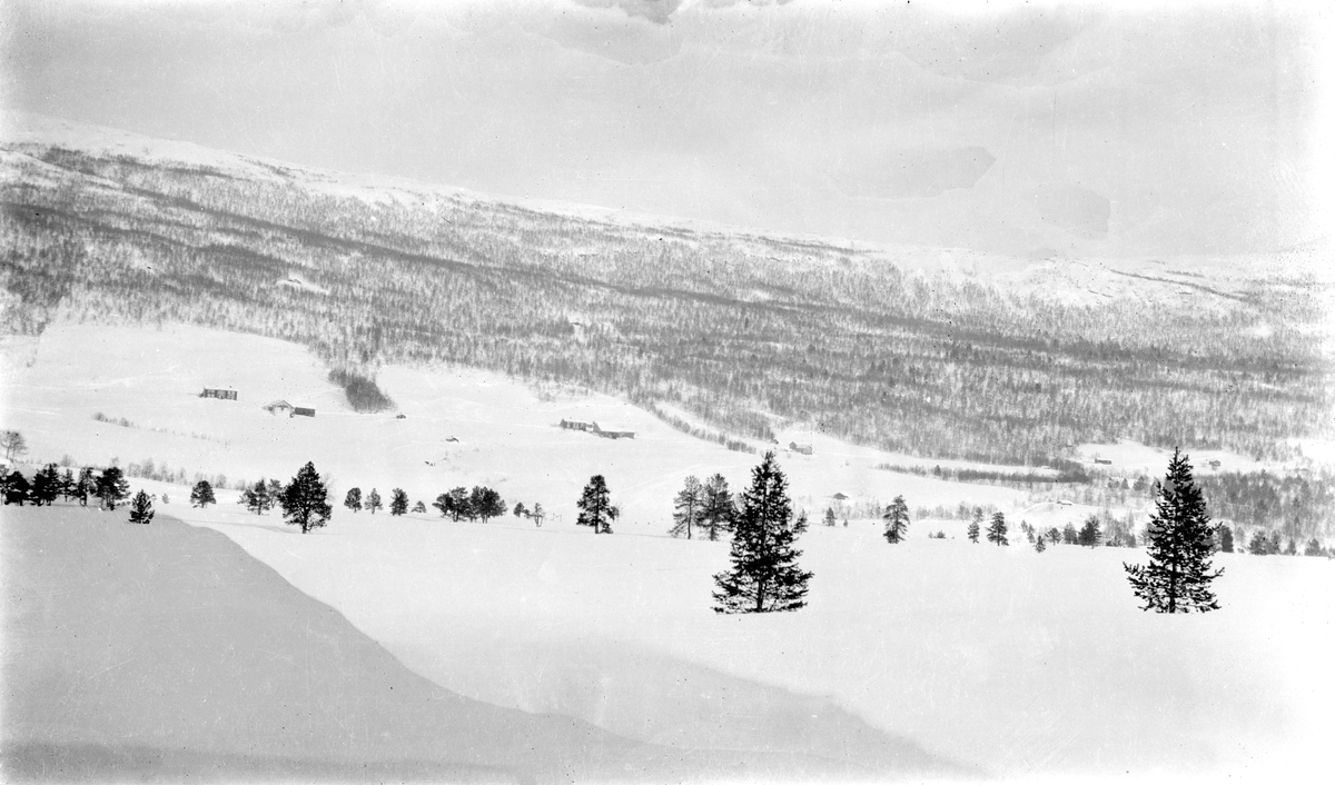 Vinterbilde fra Bøvermoen mot Bjorligardene, Bjorli, se bilde STB-023
Fra v: Dernorpå, Systugu, Dersy og Nyheim, ovenfor  gardene ser vi sommerfjøsene til Dernordpå og Systugu.