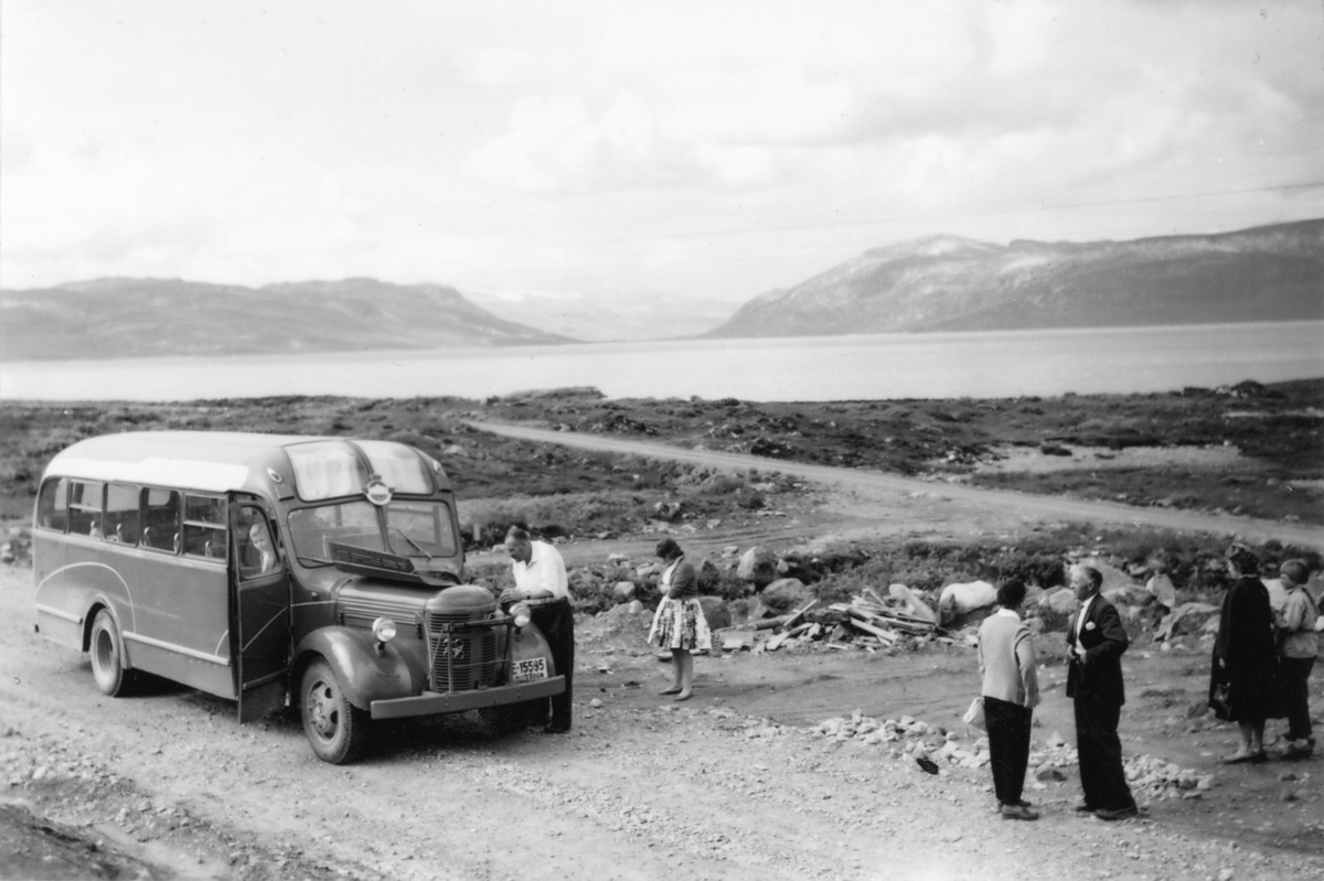 Det er mange bilder av ”vesle Venus”. Her fotografert av passasjer Rolf Rognlien et sted langs fjellsjøen Tyin på ruta til Eidsbugarden sommeren 1960.