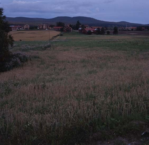 Norrvåga by i Järvsö 28 september 2001. De röda, stora hälsingegårdarna ligger som på rad med bergen i bakgrunden. Framför breder ett jordbrukslandskap ut sig.