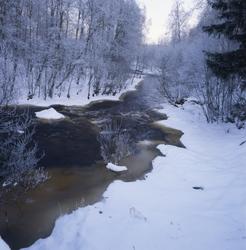 Vinter vid skogsälven Voxnan, Söräng 16 januari 2001. Vattne