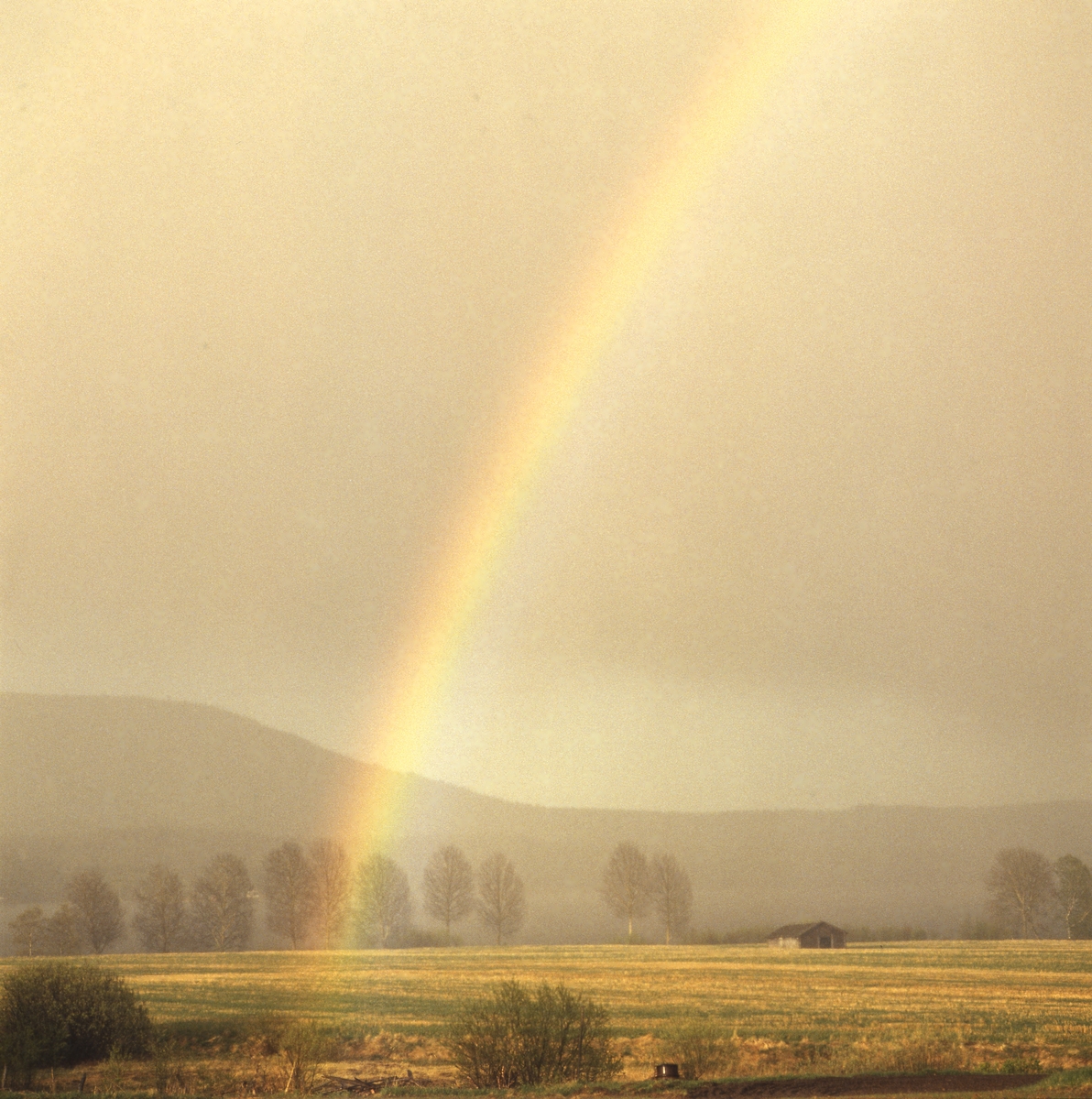Regnbåge i disigt landskap, västra Höle maj 1991.