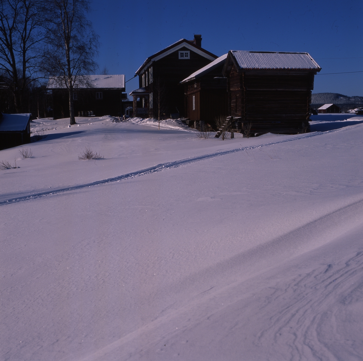 Nygår´n och Jonjöns i snö  och vårsol, mars 2001.