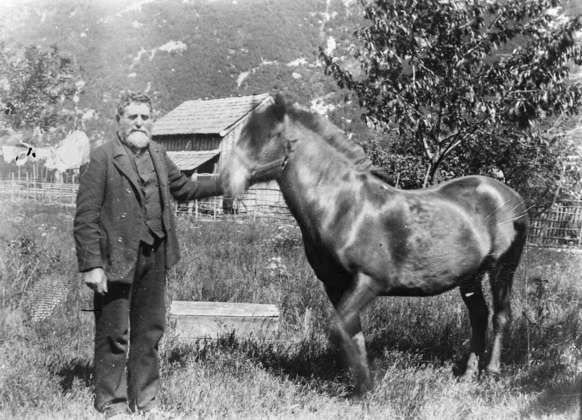 Asbjørn Eide og hesten