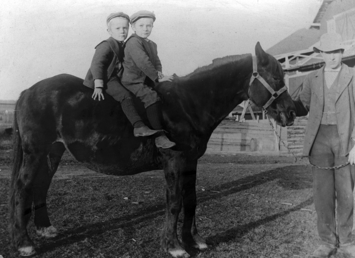 Brødrene Oddvin (f. 1898) og Erling Haug (f. 1896) på hesteryggen i 1905. Olaf Holtet holder tømmene.