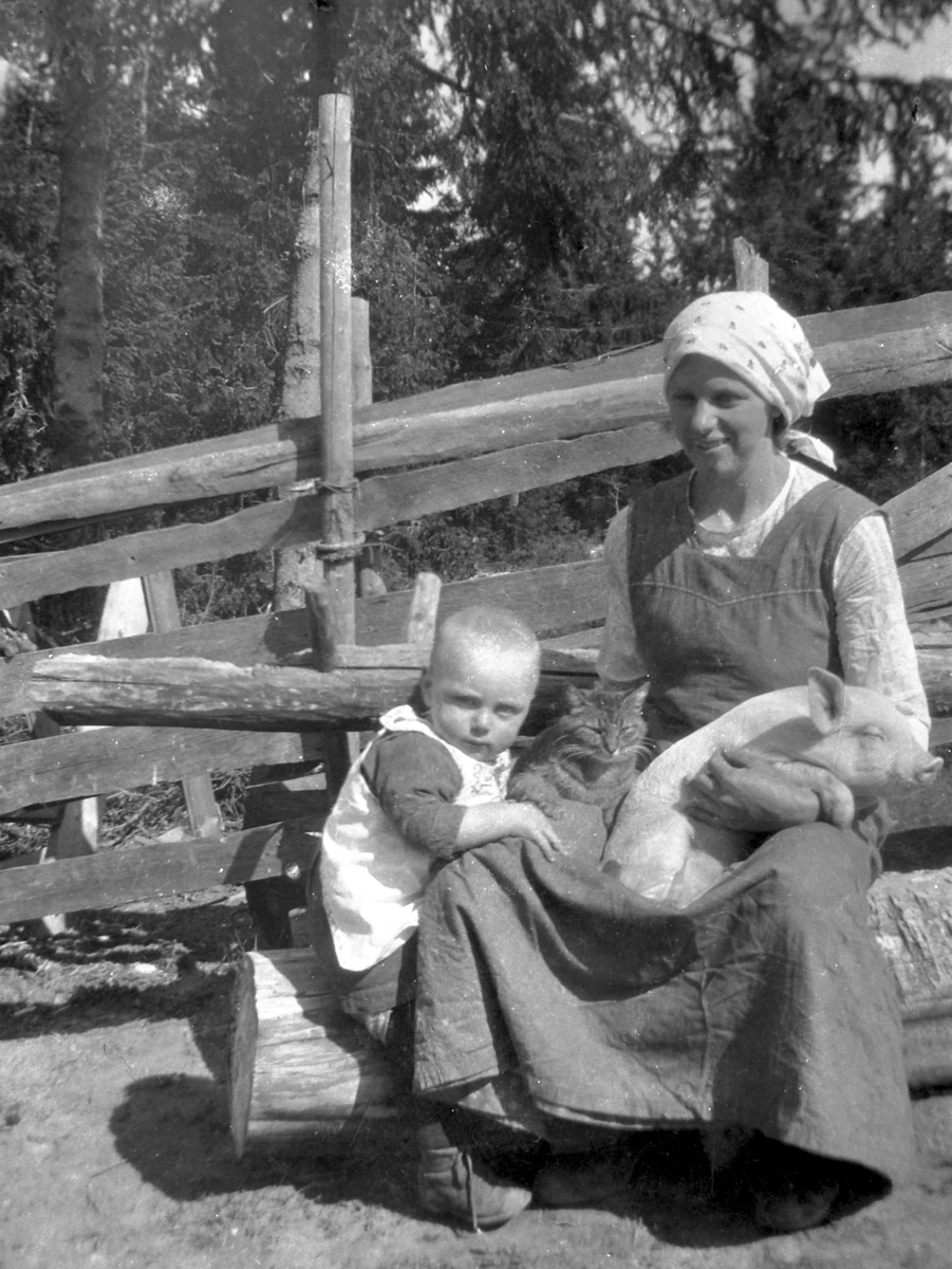 Hans Stenseth i Sand var en ivrig fotograf. Her har han fotografert kona Eli (fra Flugin i Austvatn), sønnen Per, ei katte og en grisunge i 1918.