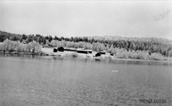 Storbekken ved Femund - høsten 1945