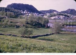 Utsikt over Kjerjaneset og Fantadammen i Eideåna i Egersund