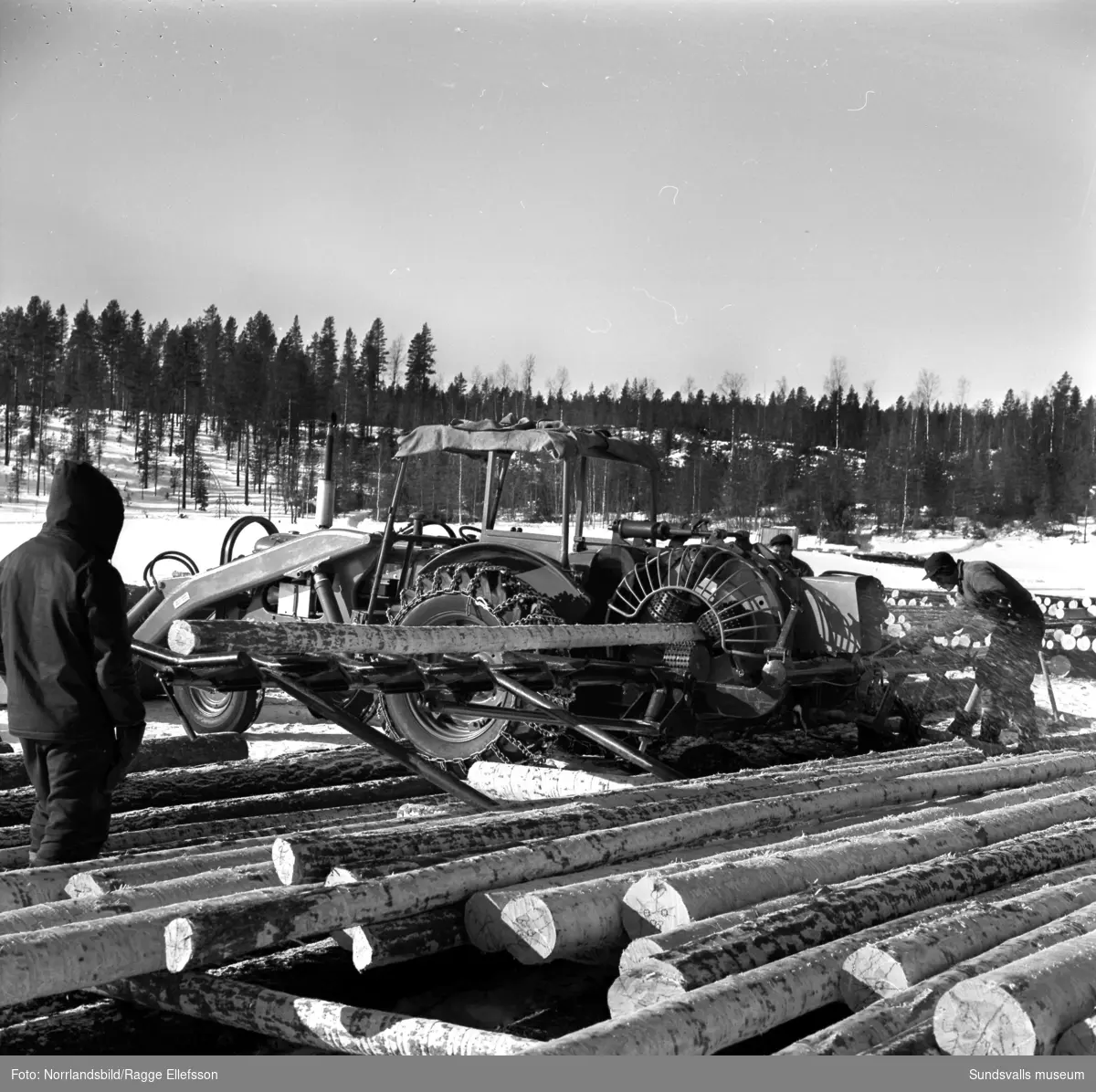 Barkning av timmer med Sunds transportmaskin i Köttsjön, östra Jämtland.