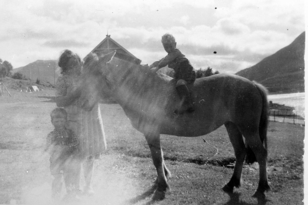 Margot, Stein og Gunnar Dybvik med en hest.
